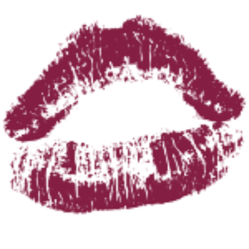 sexemodel-logo